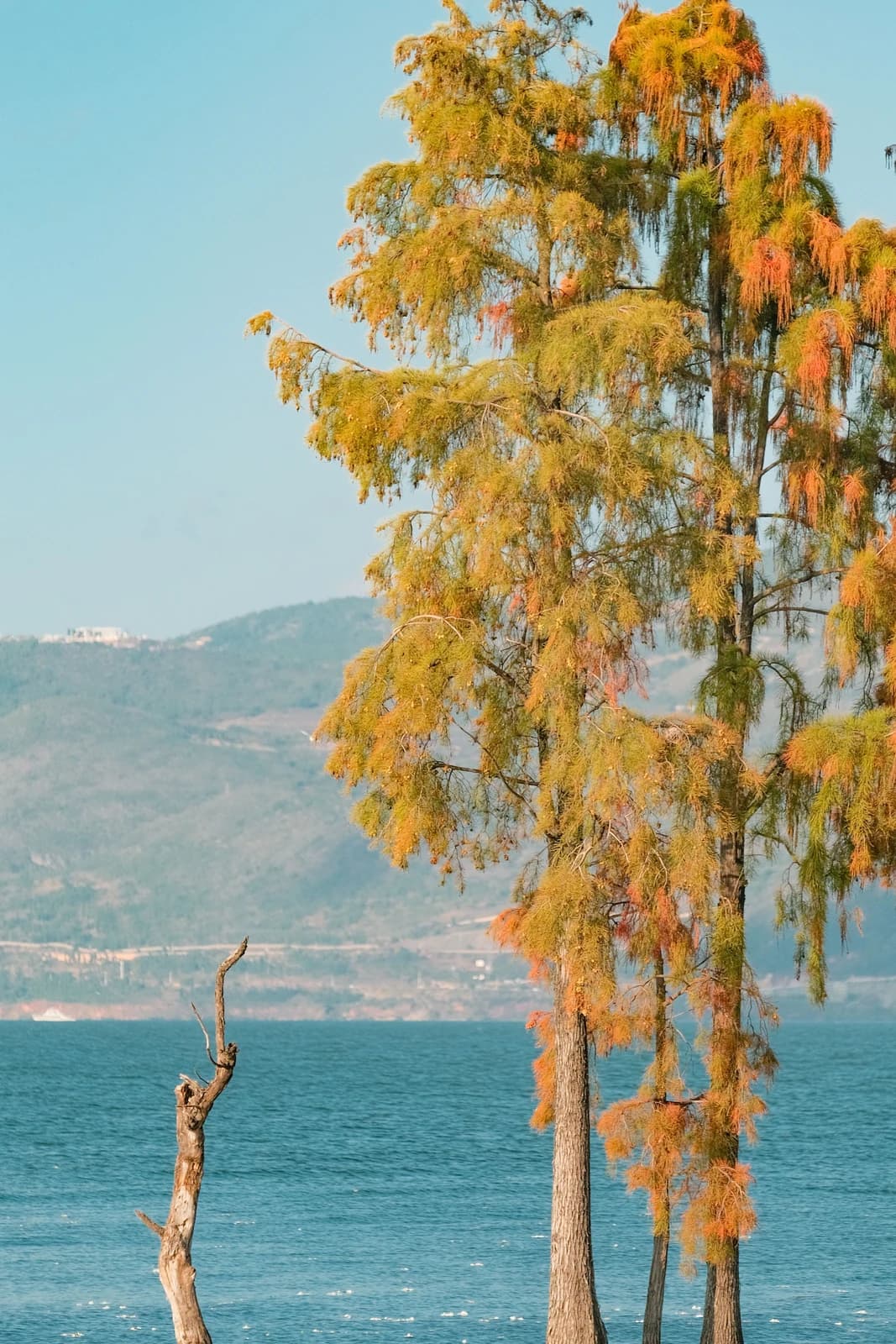 Dali Travel Guide for Independent Visitors