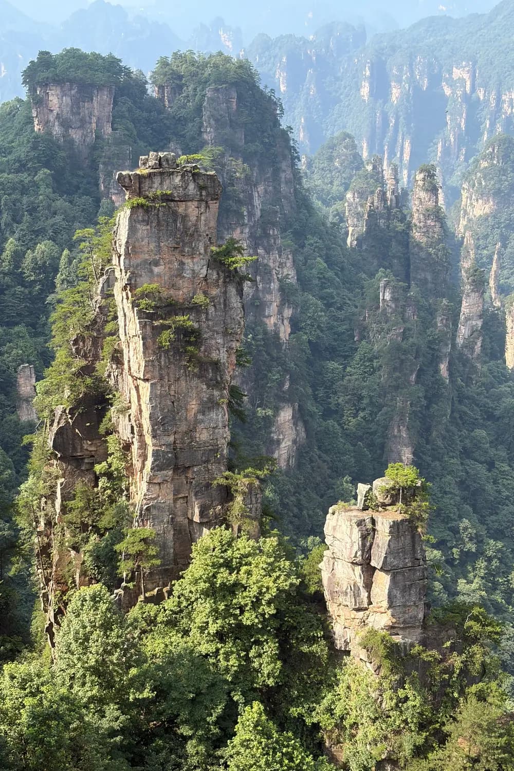 Sandstone pillars rising from forest in Zhangjiajie